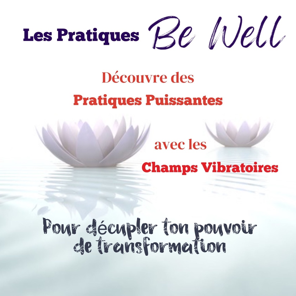 Les Pratiques Be Well